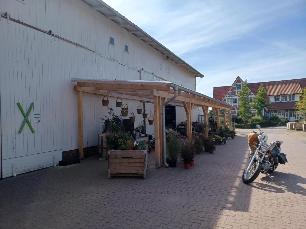 Ferienwohnung Am Elbstrom Stade Extérieur photo